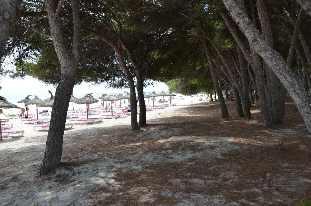 Carrasqueta Villa Port de Alcudia  Exterior photo